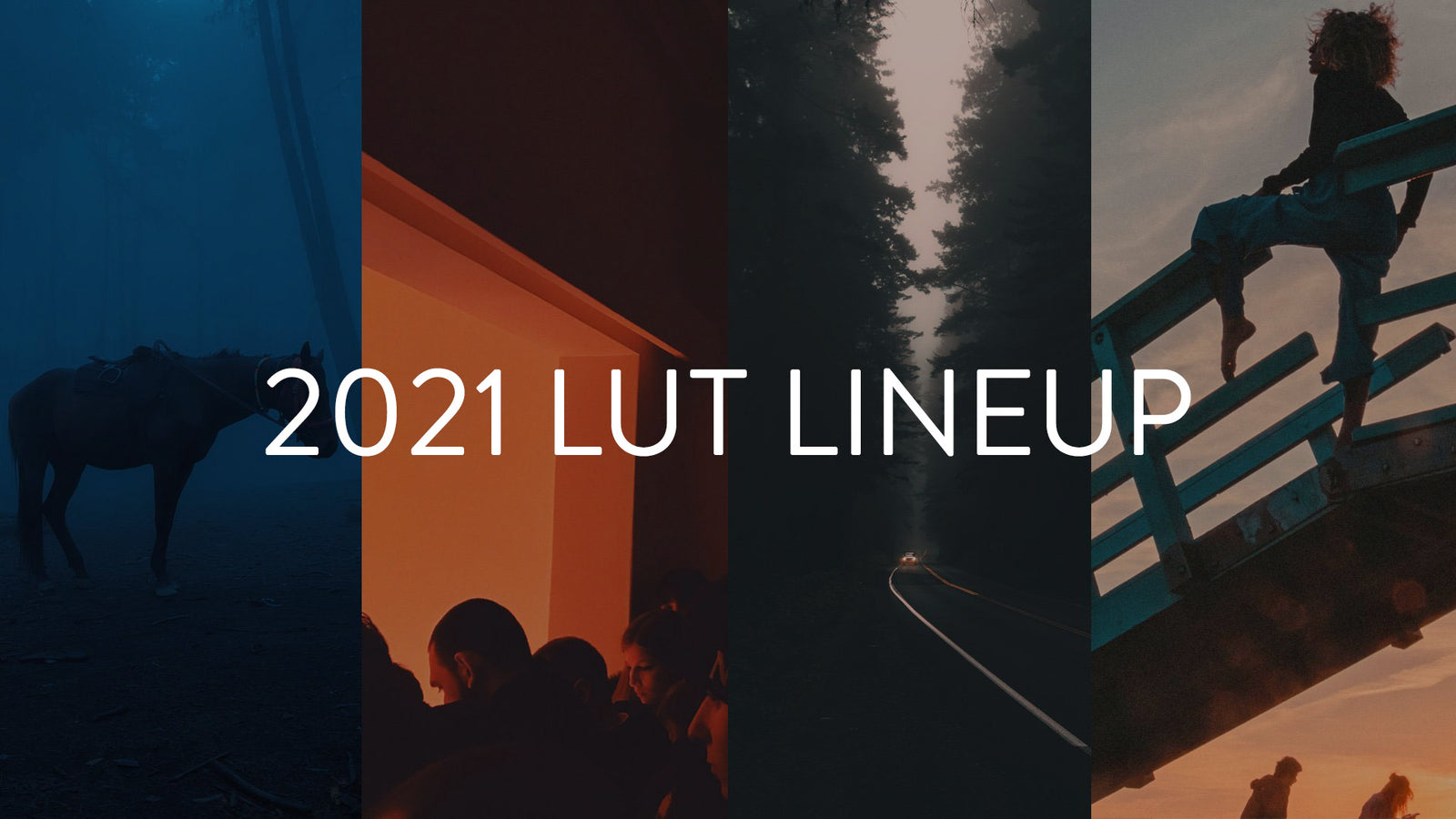 The Brand New 2021 CINECOLOR Lineup Is Here!