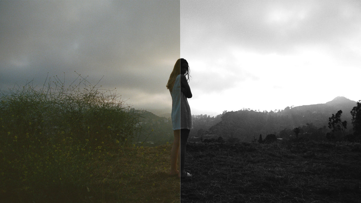 Preview of CineColor Classic B&W LUT
