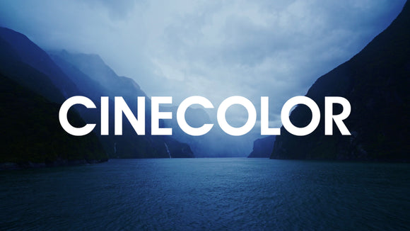 HUGE Flash Sale On Our Entire Lineup Of Color Grading LUTs! For The Next 72 Hours Only...