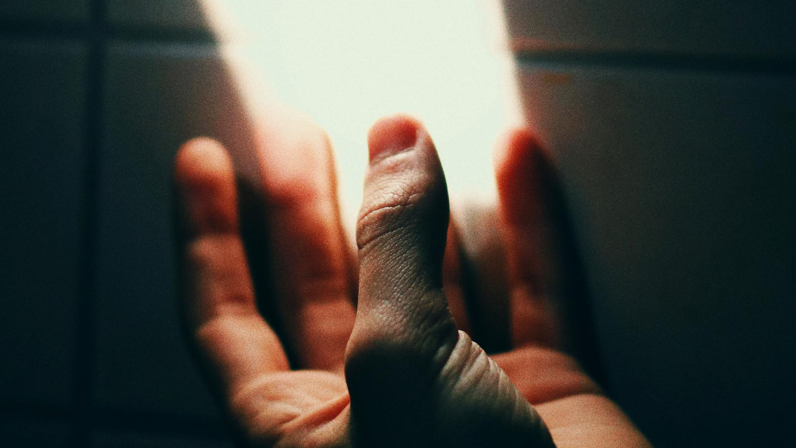 3 Brand New LUT Packs: Skintone, Reversal Film, and Horror!