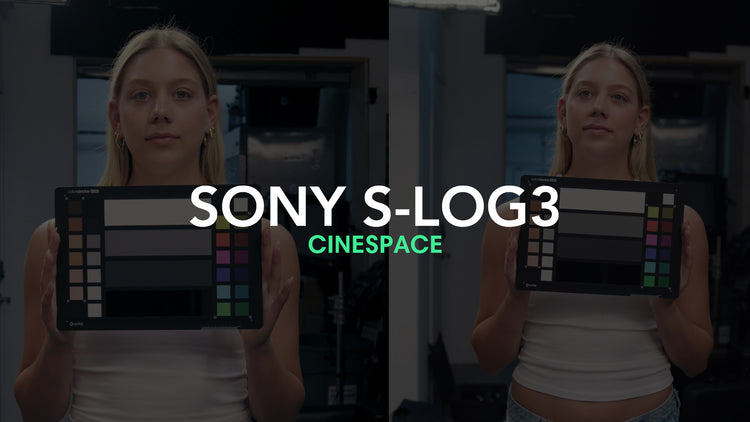 CINESPACE – CINECOLOR