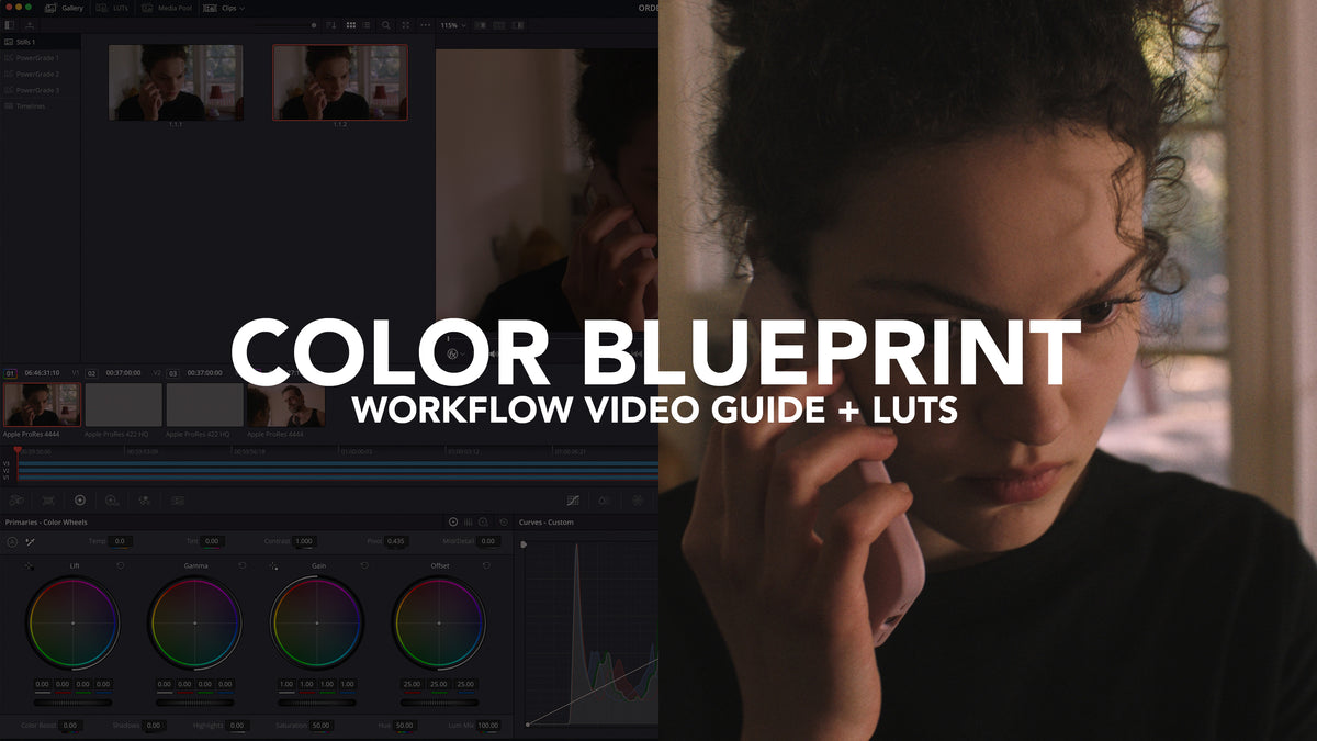 COLOR BLUEPRINT: WORKFLOW + LUTS – CINECOLOR