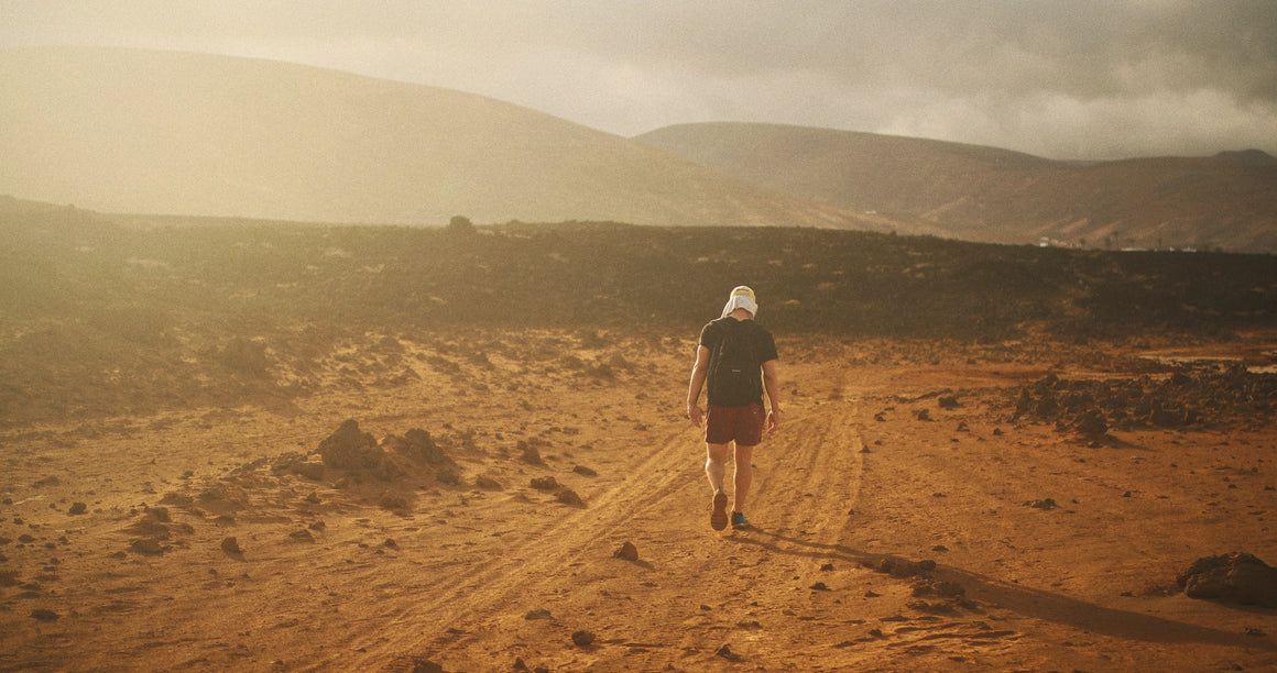 TECHNICAL LUTS – CINECOLOR