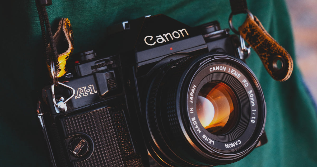 CAMERA LUTS – CINECOLOR
