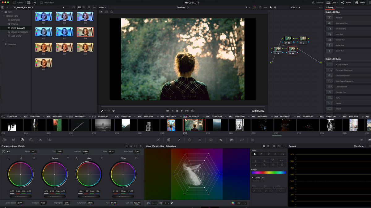 RESCUE LUTS – CINECOLOR